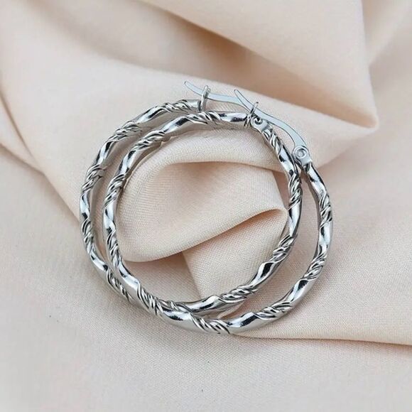 Stainless Steel Twisted Hoop Earrings - Picture 1 of 3